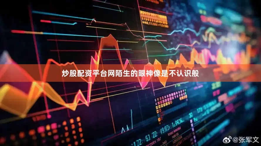 炒股配资平台网陌生的眼神像是不认识般